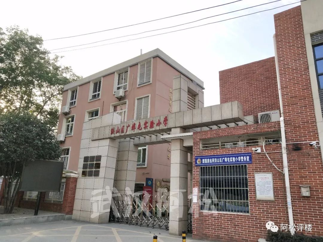 除了规划建设的学校之外,目前项目周边已有广埠屯实验小学,武丰小学等