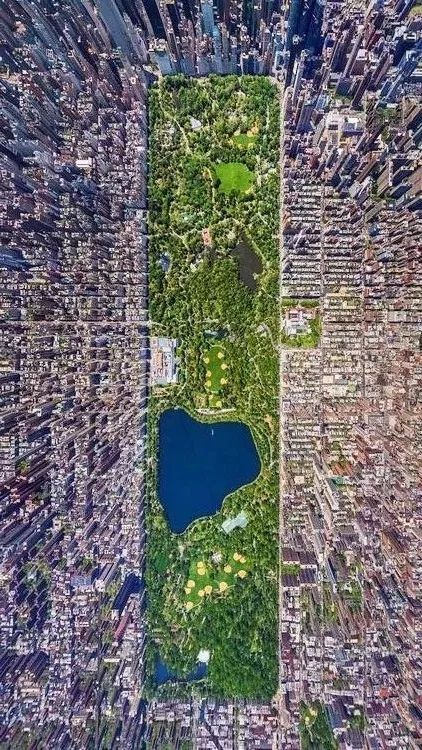 纽约政府便进行了中央公园的公开设计竞赛,而从35个备选方案中脱颖而