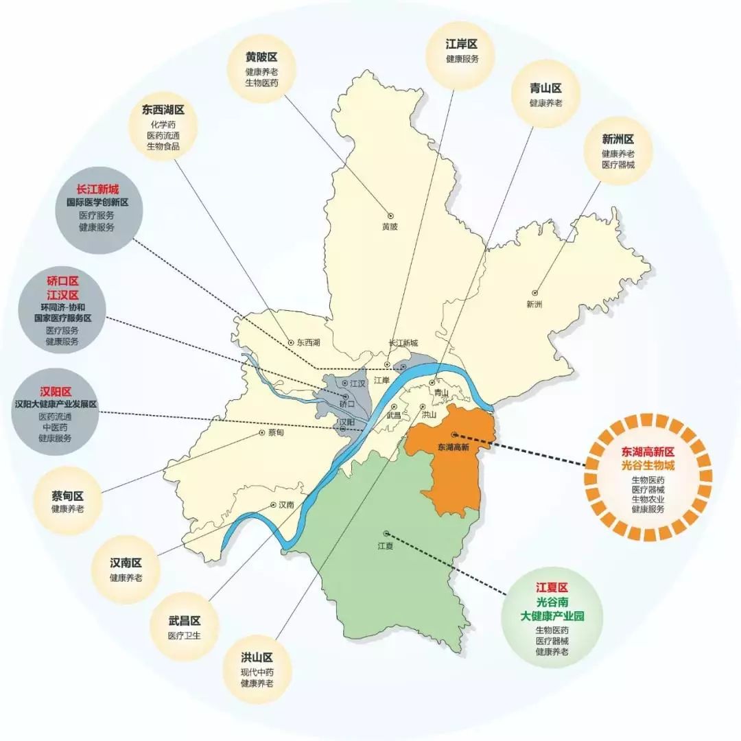 武汉市大健康产业空间布局图